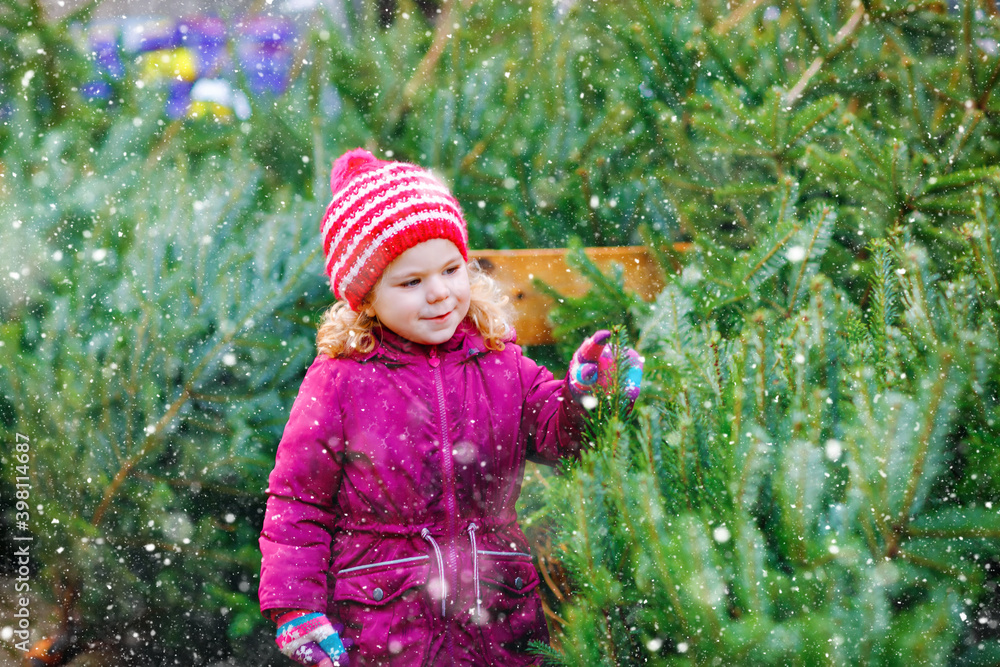 Adorable little toddler girl holding Christmas tree on market. Happy healthy baby child in winter fashion clothes choosing and buying big Xmas tree in outdoor shop. Family, tradition, celebration.