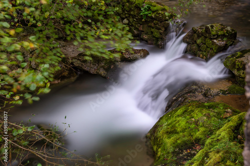 river in the forest  water with silk effect and much detail