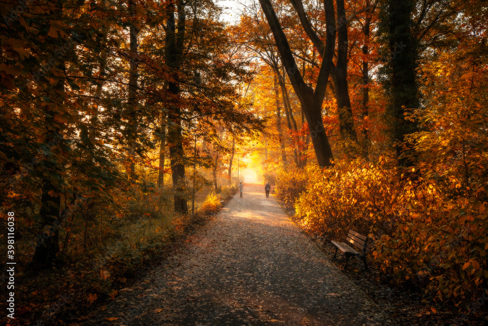 Bolko Island in Opole during the autumn morning.