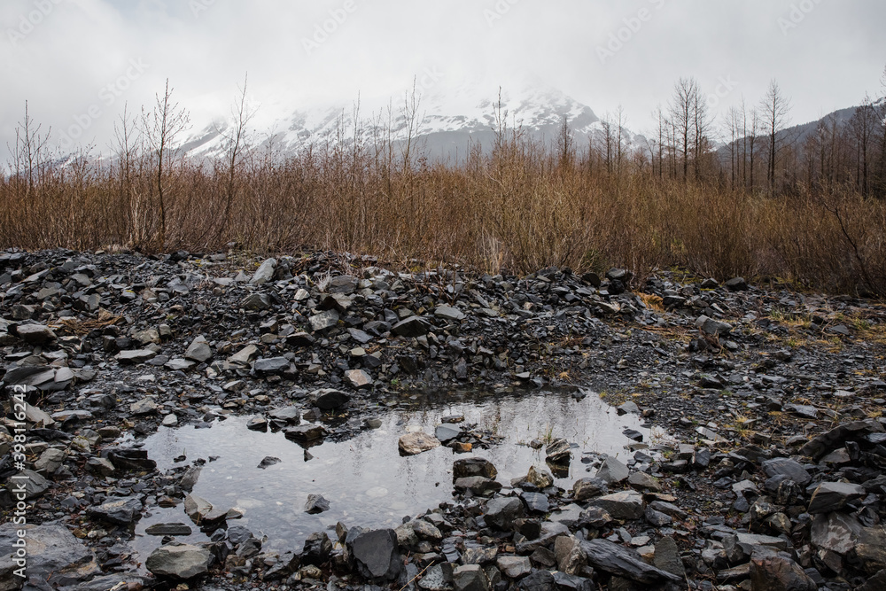 Water puddle in volcanic rocks surrounded by tall bushes and distant snowy mountains in Alaska Water puddle in volcanic rocks surrounded by tall bushes and distant snowy mountains in Alaska