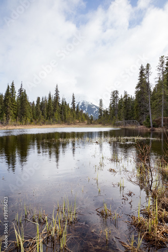 Vertical shot of forest pond in Alaska. Clouds above the mountains in distance.