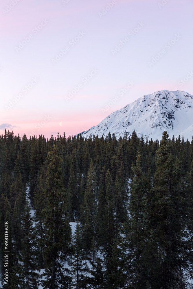 Vertical shot of colorful winter sunrise in Denali State Park, Alaska
