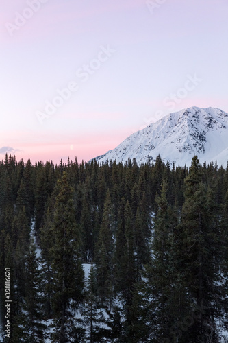 Vertical shot of colorful winter sunrise in Denali State Park, Alaska