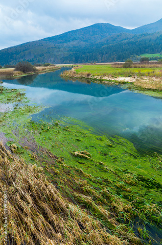 Lake Cerknika  Green Karst  Slovenia  Europe