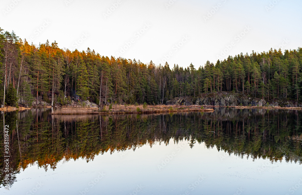 reflection of trees in water