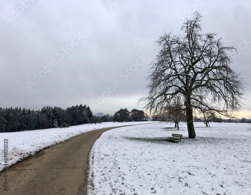 road in winter in Adelberg - by juma photo