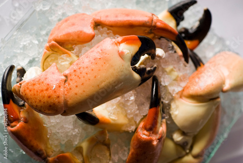 Stone crab claws. Colossal Crab claws served with lemons, spicy rémoulade sauce on top of a mixed green salad. Classic American restaurant or steakhouse appetizer or entree.