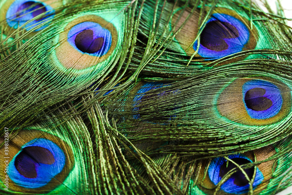 Naklejka premium Background of beautiful peacock feathers