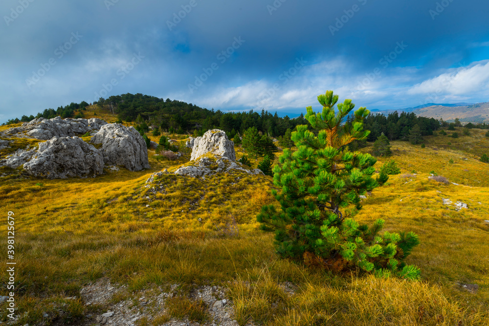 Ilirska Bistrica, Green Karst, Slovenia, Europe Ilirska Bistrica, Green Karst, Slovenia, Europe