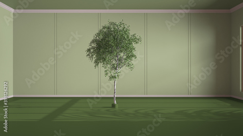 Imaginary fictional architecture  interior design of hall  classic empty room  open space  green walls with trim molding in the background and birch tree in the middle of the room