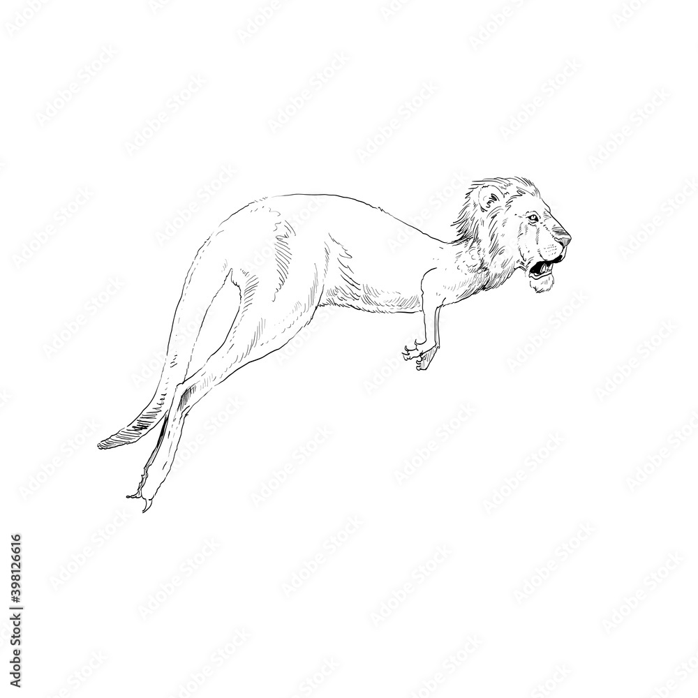 Unusual mixture of animals.
Kangaroo with lion head. Hybrids species sketch. Fantasy art. Vector illustration clip art. Unusual mixture of animals.
Kangaroo with lion head. Hybrids species sketch. Fantasy art. Vector illustration clip art.