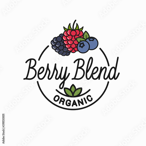 Berry blend logo. Round linear logo of blend