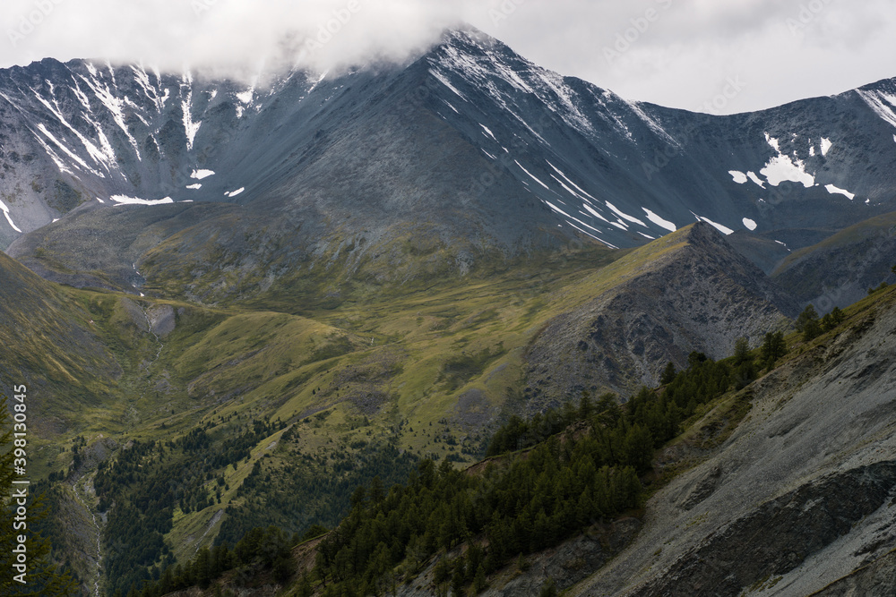 Fototapeta premium gray rocks, green forest and snow-capped mountains on the background-Altai