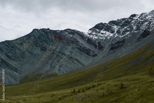 gray rocks, green forest and snow-capped mountains on the background-Altai