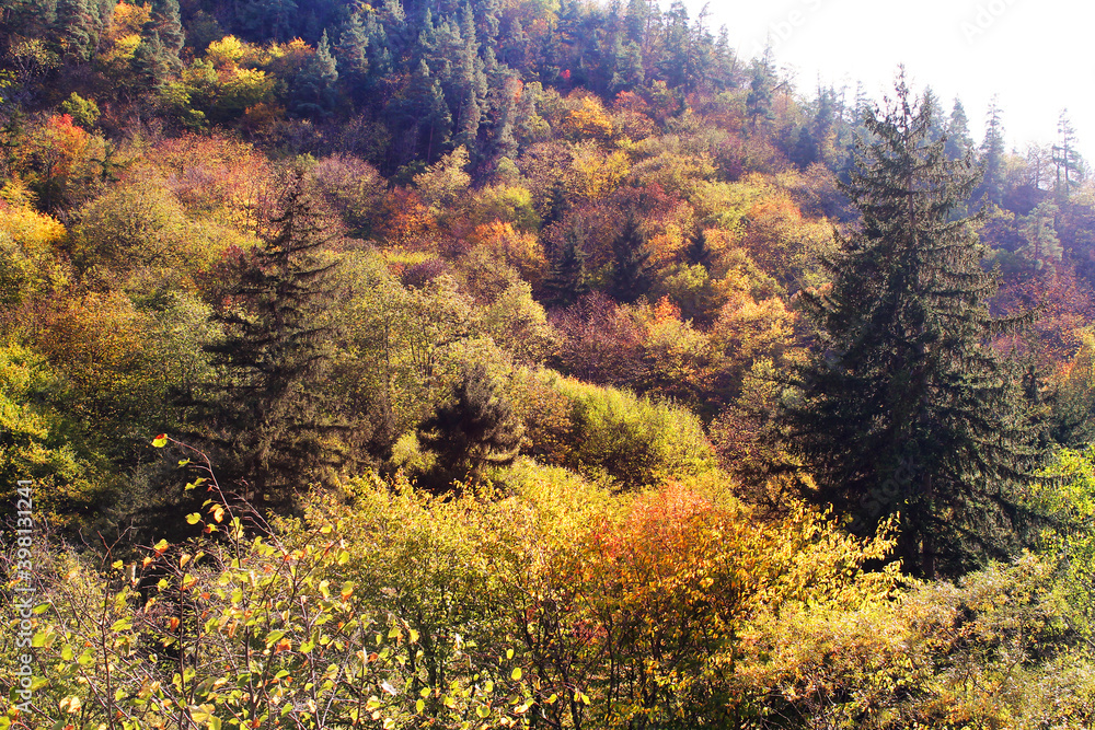 autumn in the Rkoni valley 
