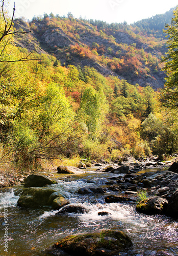 mountain river in autumn