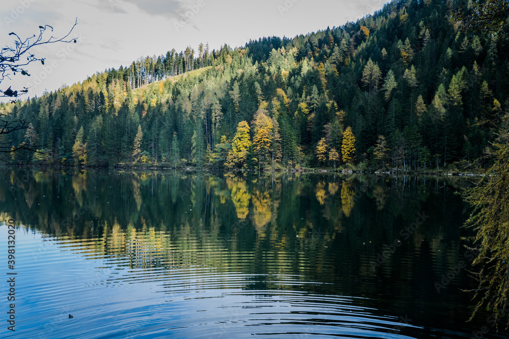 Gleinkersee im Herbst, See in Oberösterreich, Wald am See