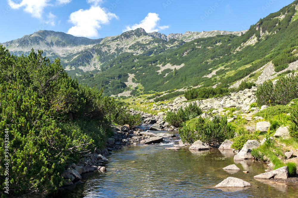 Banderitsa River at Pirin Mountain, Bulgaria