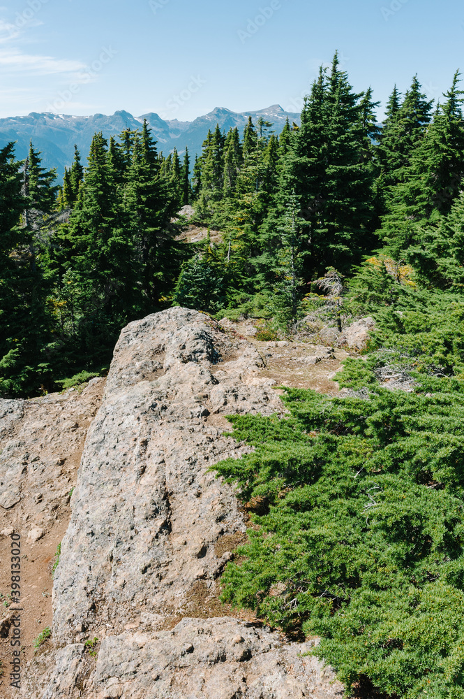Obraz premium View from the summit of Mt. Becher, Strathcona Provincial Park, British Columbia