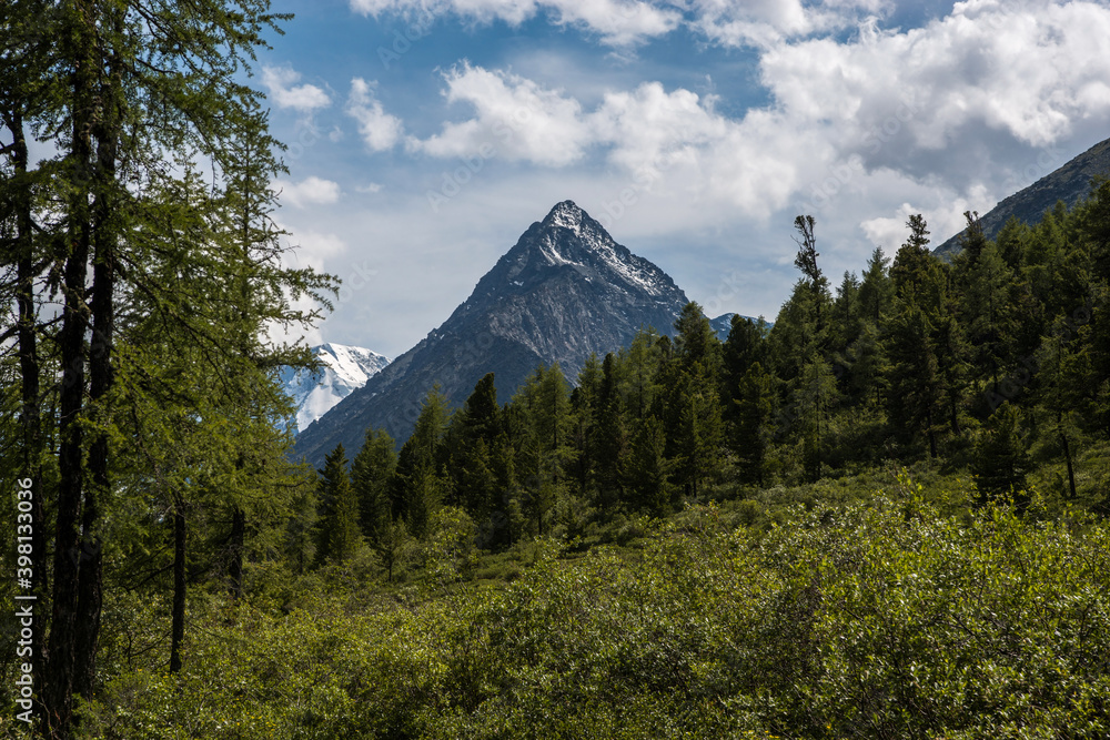 gray rocks, green forest and snow-capped mountains on the background-Altai