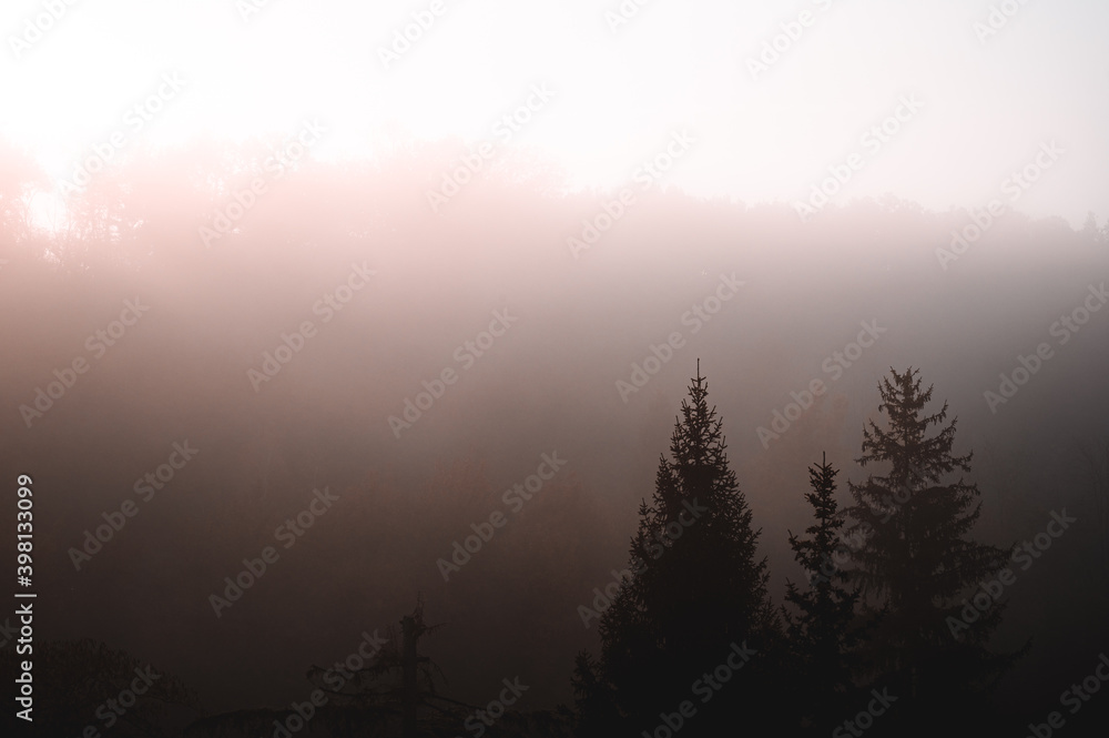 Obraz premium brouillard