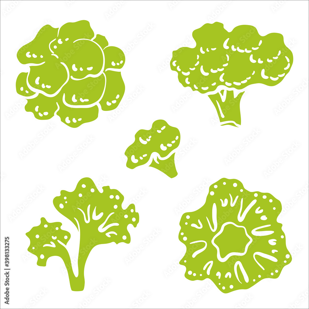 Broccoli. Whole and half. Colorful sketch collection of vegetables and herbs isolated on white background. Doodle hand drawn vegetable icons. Vector illustration