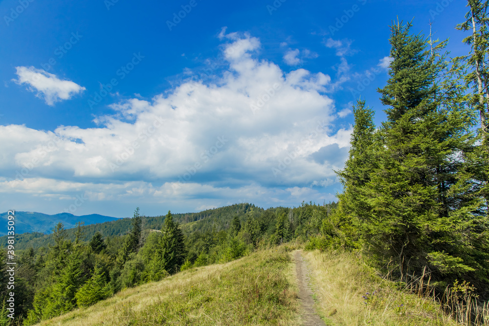Carpathian mountain landscape spring day time landscape nature photography scenic view pine tree on top of high ridge in clear weather and vivid blue sky with clouds idyllic environment space