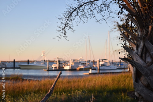 Sunset Harbor