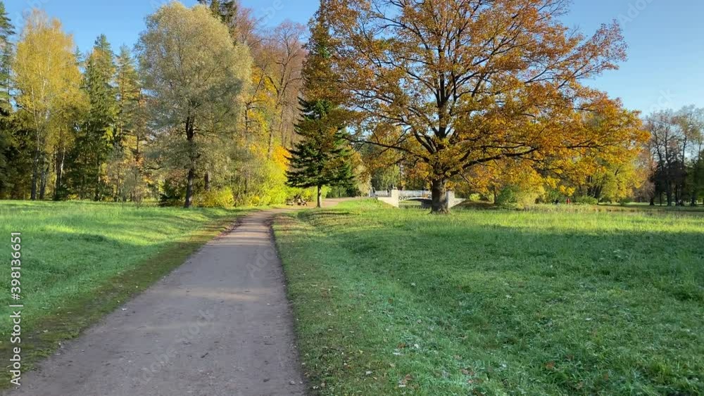 Beautiful autumn park in sunny day. Pavlovsk Park, St. Petersburg, Russia. High quality 4k footage Beautiful autumn park in sunny day. Pavlovsk Park, St. Petersburg, Russia. High quality 4k footage