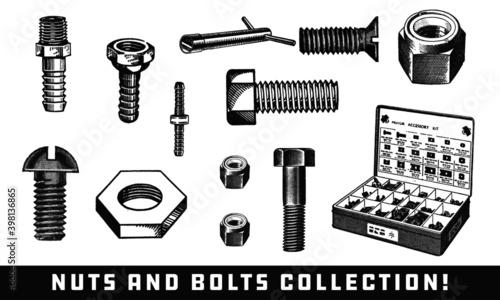 nuts and bolts isolated