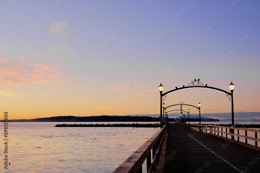Five birds perch on arch of White Rock's pier, BC