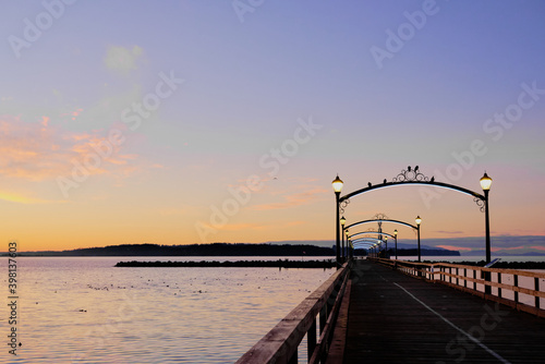 Five birds perch on arch of White Rock s pier  BC