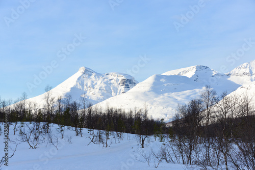 Scenic winter landscape with snow and ice © Alicina