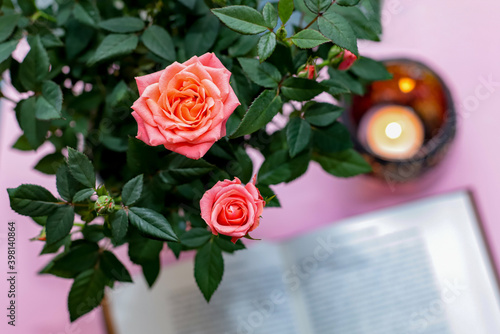 Cozy evening with pink rose and blurred candle and open book