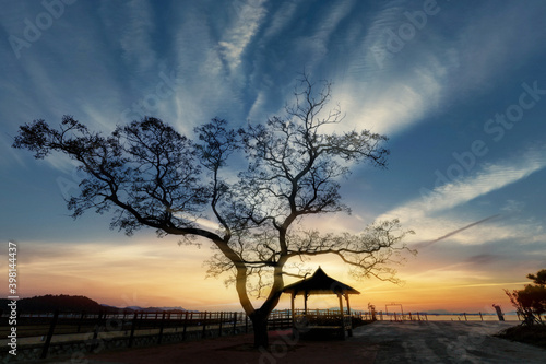 나무 © MIN  CHEOL KIM