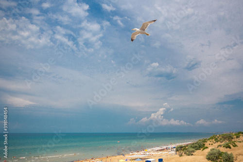 Beautiful sand beach with the seagull  Black Sea  Anapa  Russia.