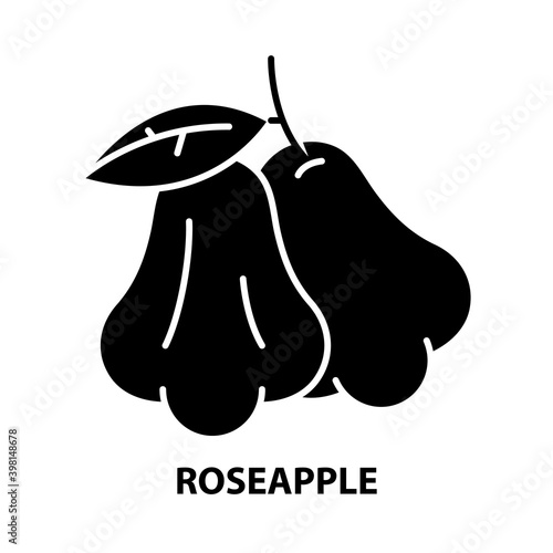 roseapple icon, black vector sign with editable strokes, concept illustration