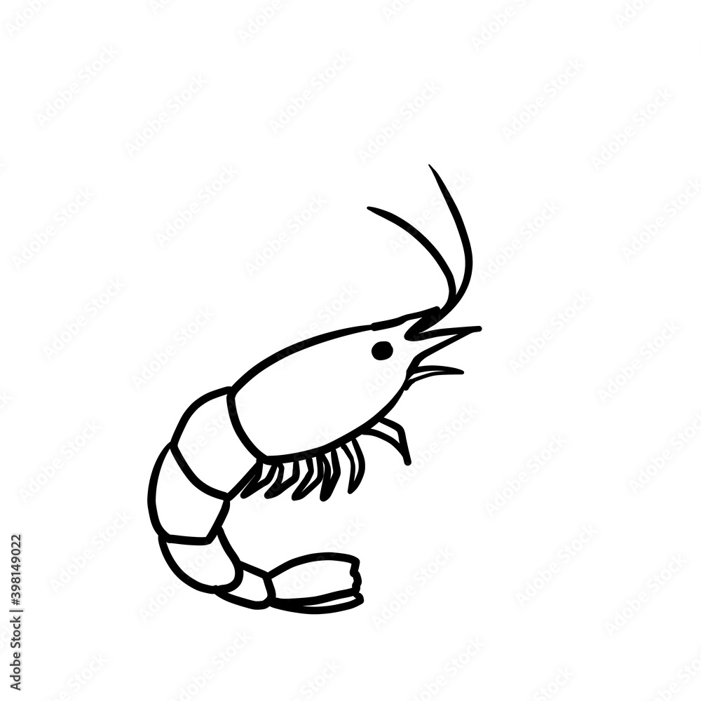 Simple shrimp line art illustration Simple shrimp line art illustration