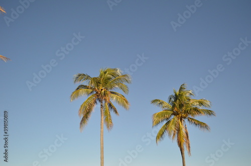 A cloudless winter day in Florida. 