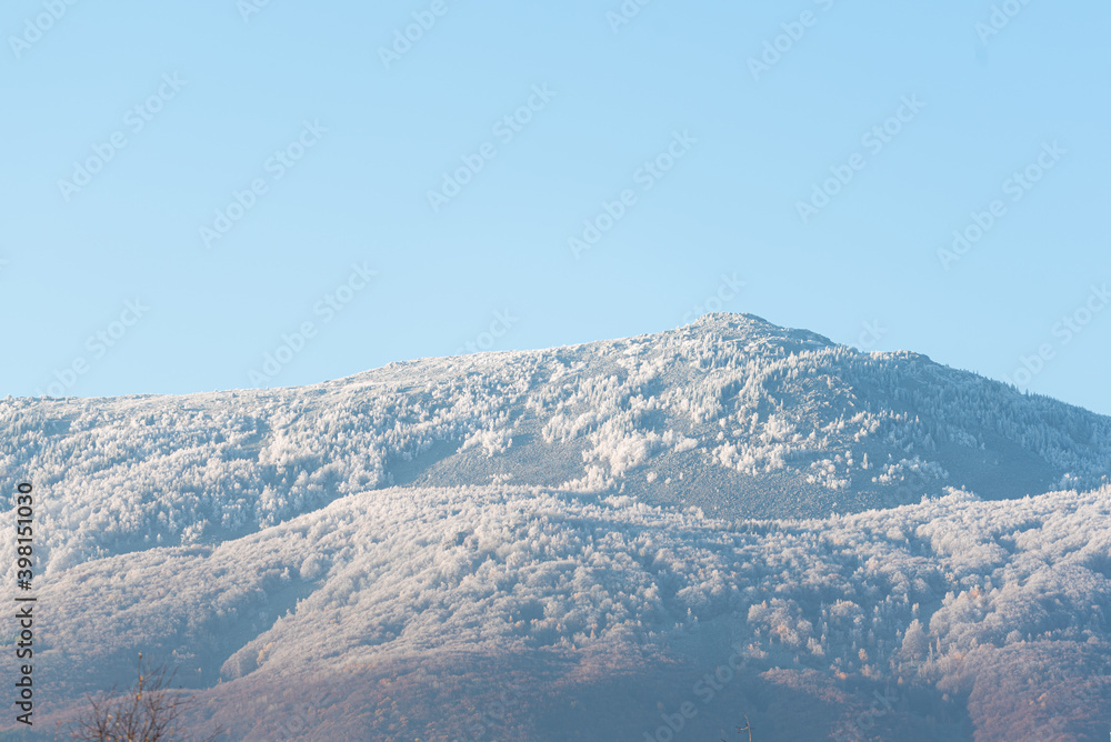 First snow on forest hill mountain white covered trees on clear sky in Sofia, Bulgaria First snow on forest hill mountain white covered trees on clear sky in Sofia, Bulgaria