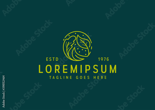 vegetarian food, leaf salad eat vegetables brand logo art icon vector illustration