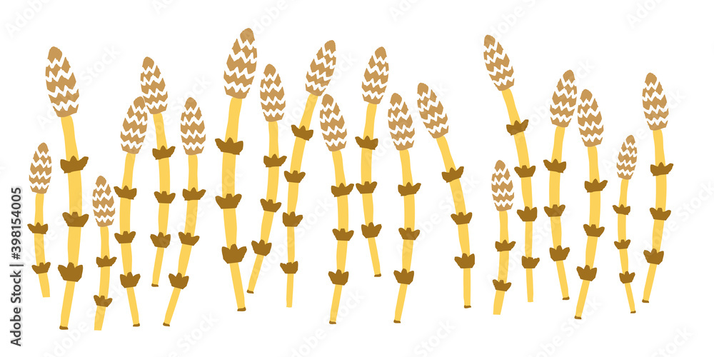 群生しているつくしのイラスト Stock Vector Adobe Stock
