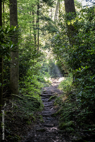 Light rays over narrow dirt trail © kellyvandellen