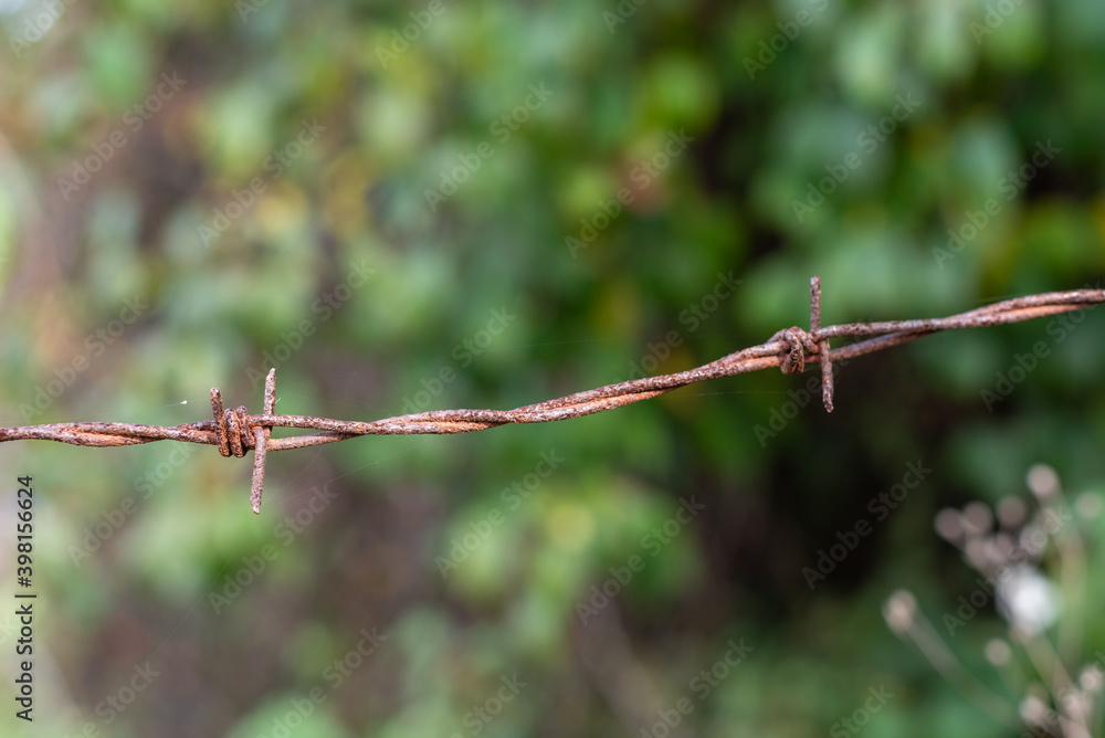 Metal pillar with rusty barbed wire sharp focus with leaf forest autumn green background in Bulgaria, Eastern Europe Metal pillar with rusty barbed wire sharp focus with leaf forest autumn green background in Bulgaria, Eastern Europe