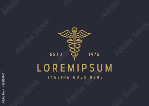 Vintage logo design vector line icon template