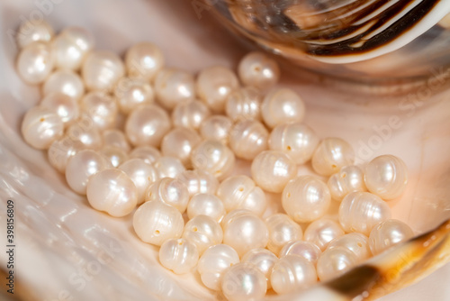 pearl beads lie in a seashell shell, close up photo