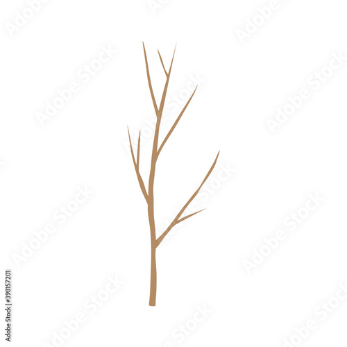 Naked trees Winter stem. Hand drawn isolated illustrations.