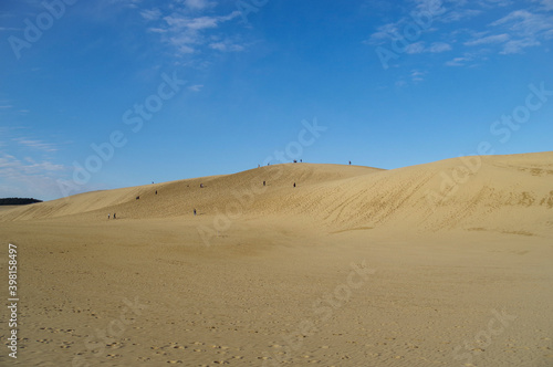 砂の大地が続く鳥取砂丘
