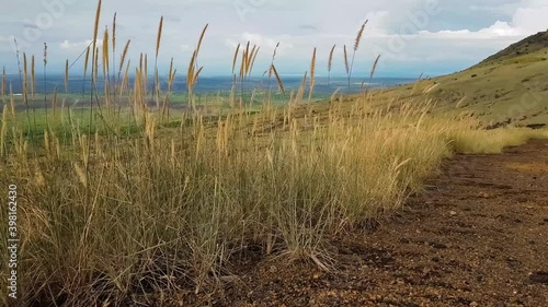 Grass moving in the wind on top of the mountain
