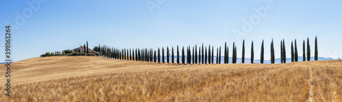 Panoramic view of Tuscany Rural Landscape and Cypress Trees, Italy
